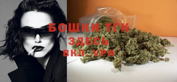 метадон Гусев