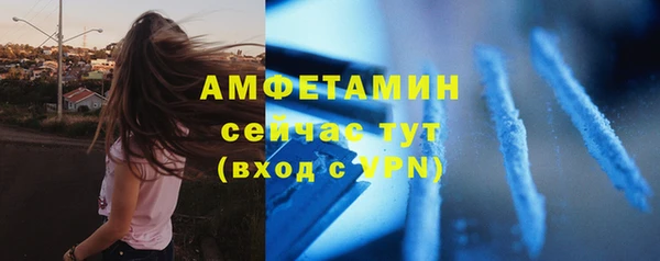 винт Гусь-Хрустальный