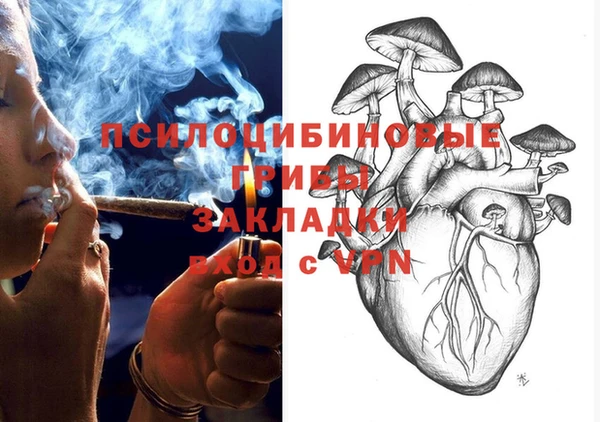 винт Гусь-Хрустальный