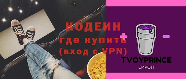 винт Гусь-Хрустальный