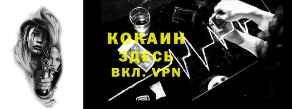 метадон Гусев