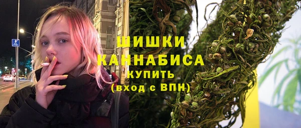 винт Гусь-Хрустальный