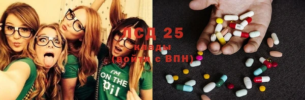 винт Гусь-Хрустальный