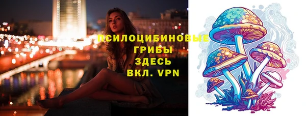 а пвп мука Гусиноозёрск