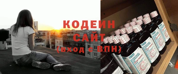 метадон Гусев