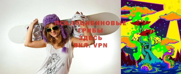 винт Гусь-Хрустальный